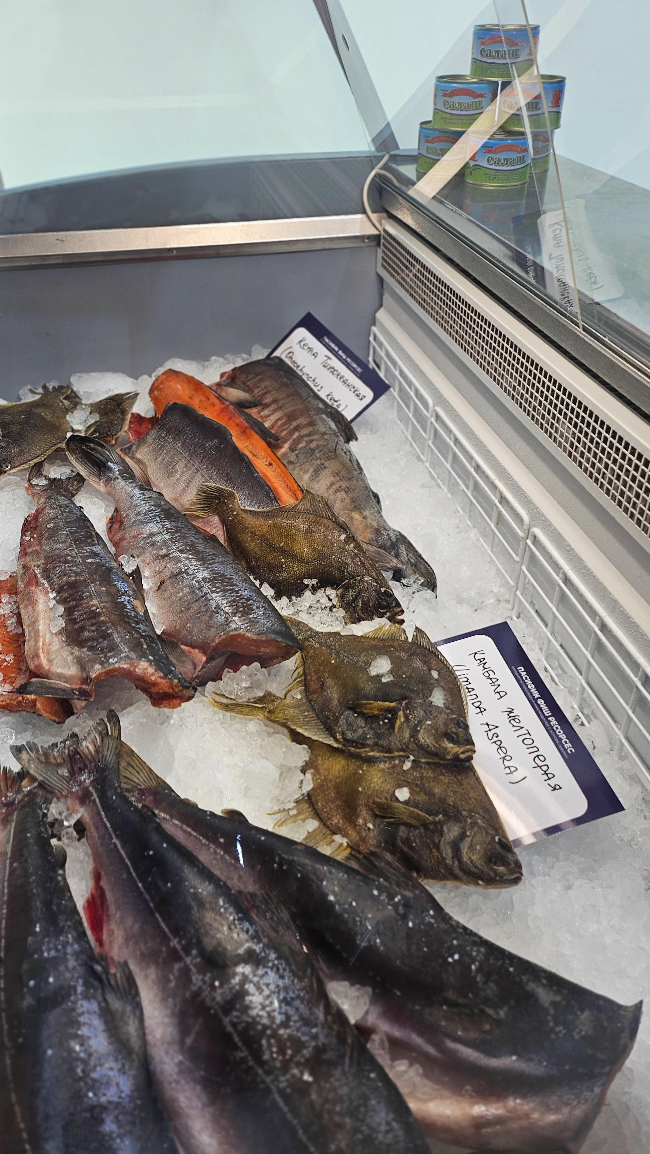 Пасифик фиш ресорсес, купить рыбу оптом