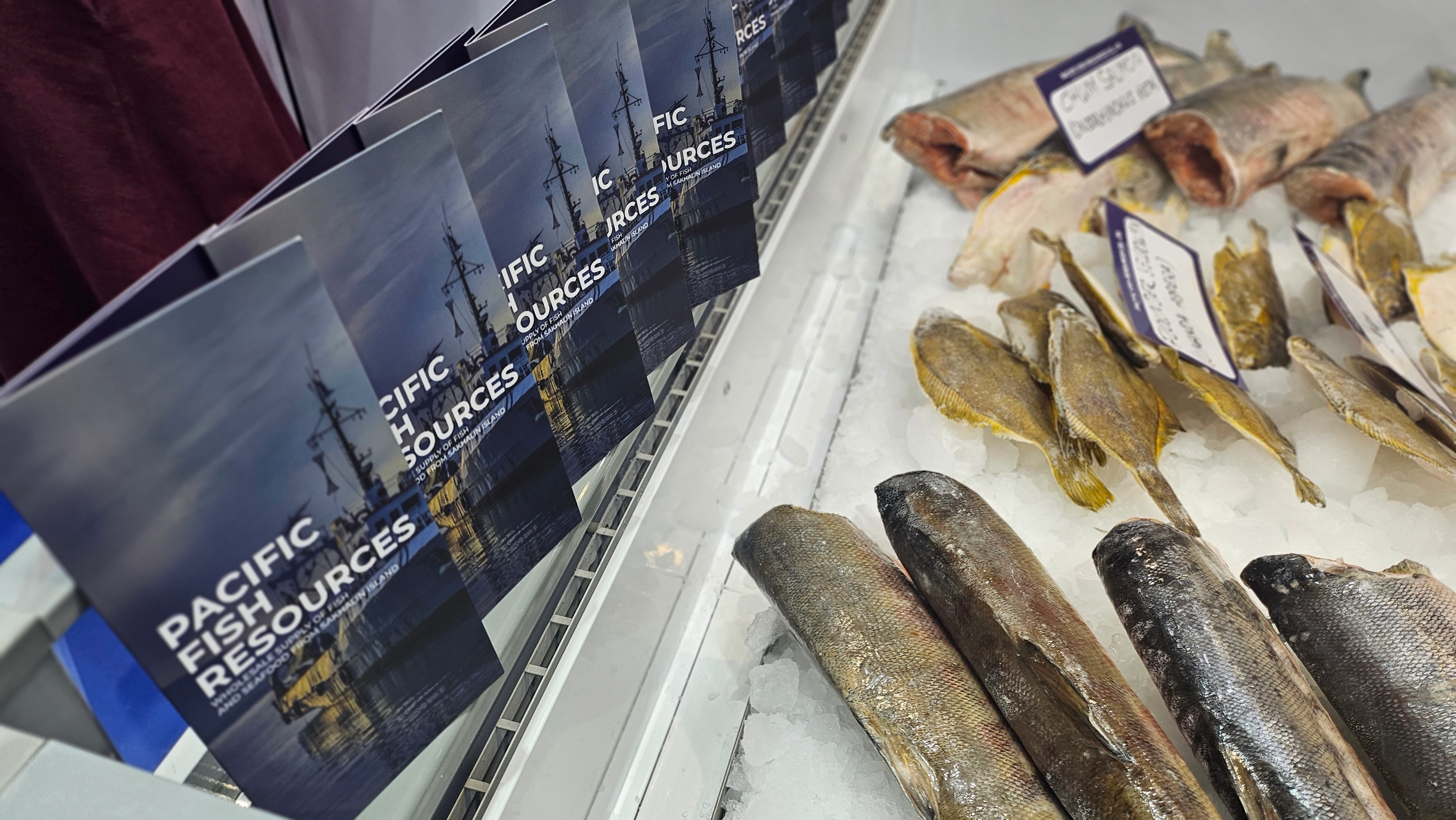 Пасифик фиш ресорсес, купить рыбу оптом