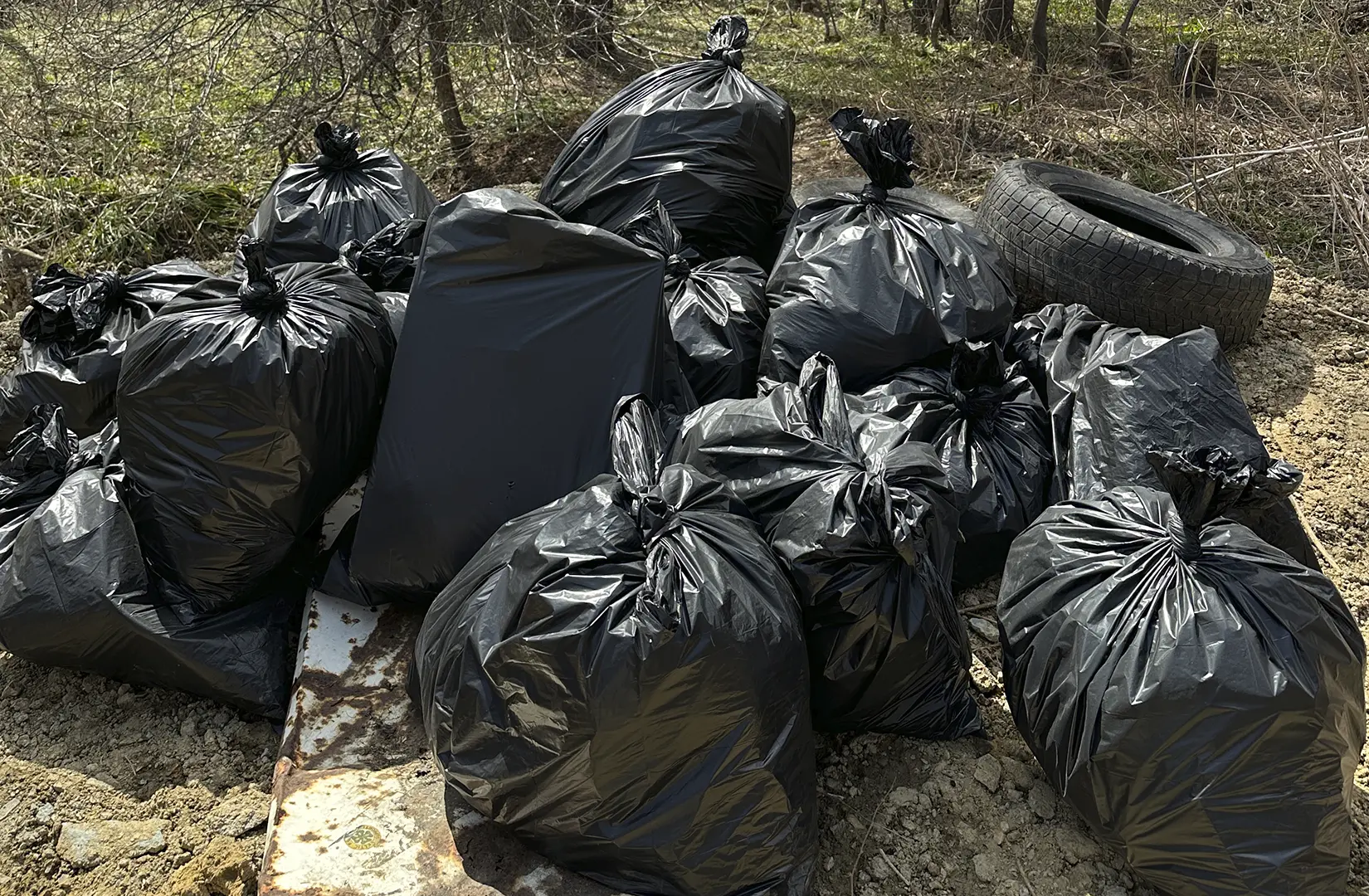 Пасифик фиш ресорсес, купить рыбу оптом