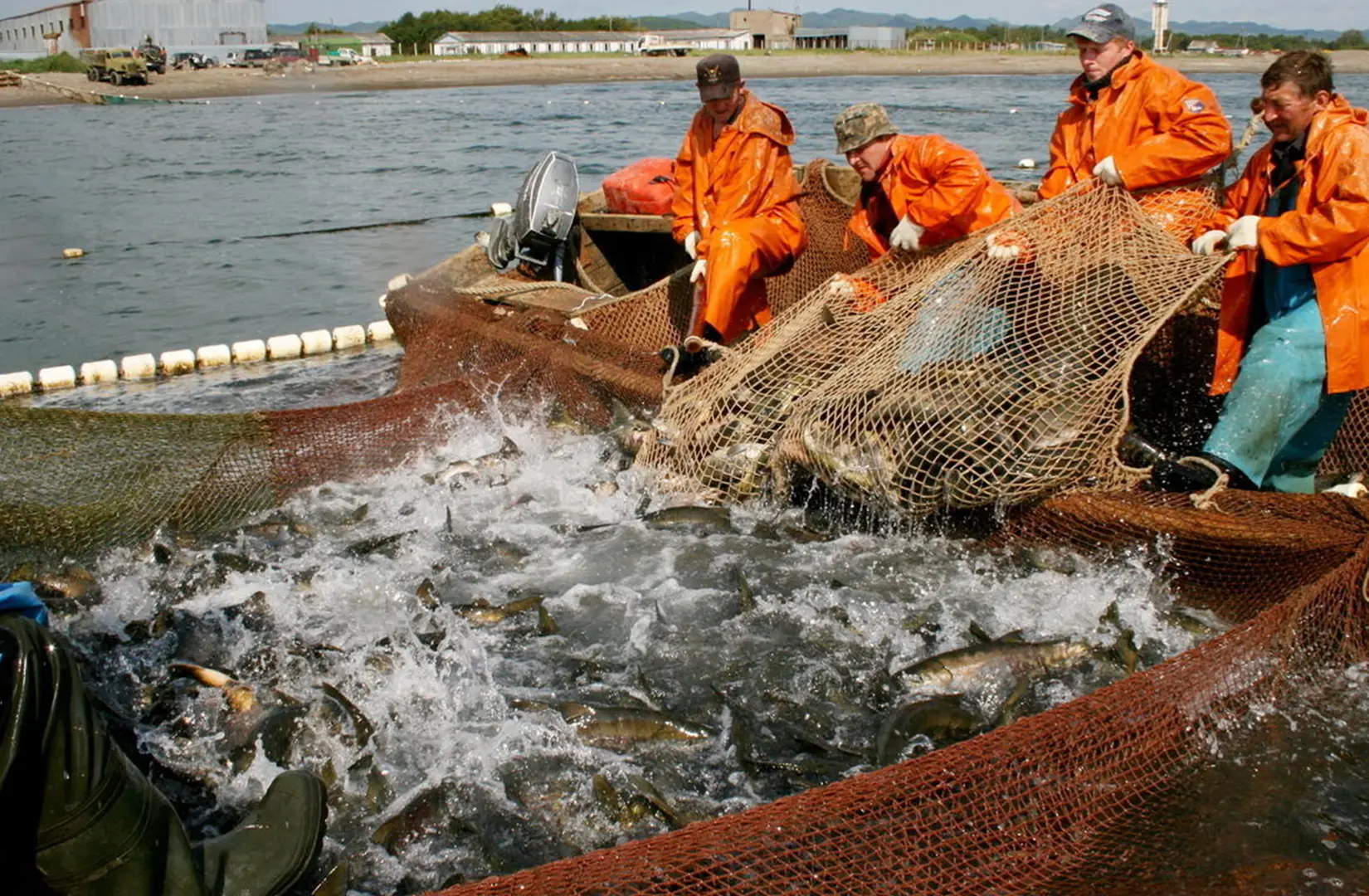 Пасифик фиш ресорсес, купить рыбу оптом