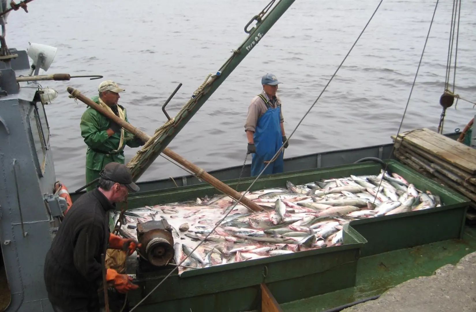 Пасифик фиш ресорсес, купить рыбу оптом