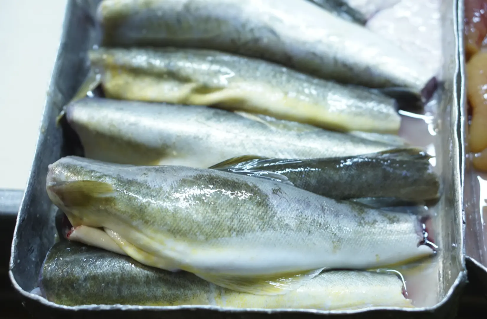 Пасифик фиш ресорсес, купить рыбу оптом