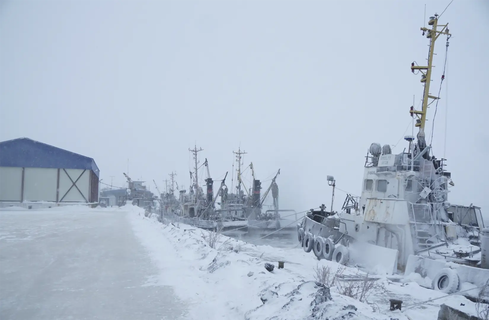 Пасифик фиш ресорсес, купить рыбу оптом