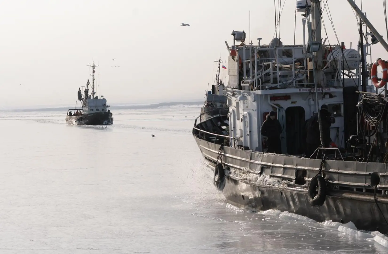 Пасифик фиш ресорсес, купить рыбу оптом