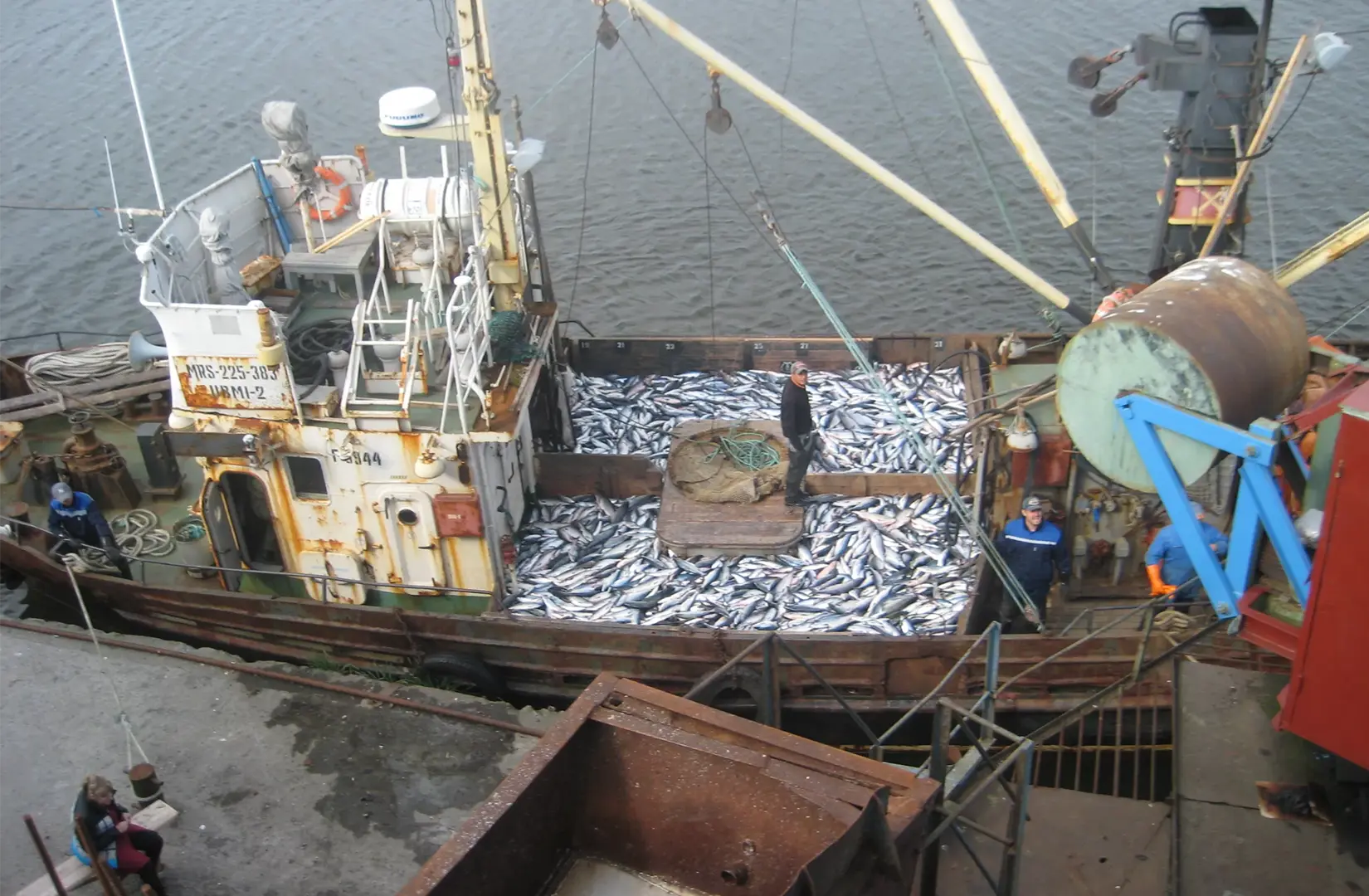 Пасифик фиш ресорсес, купить рыбу оптом