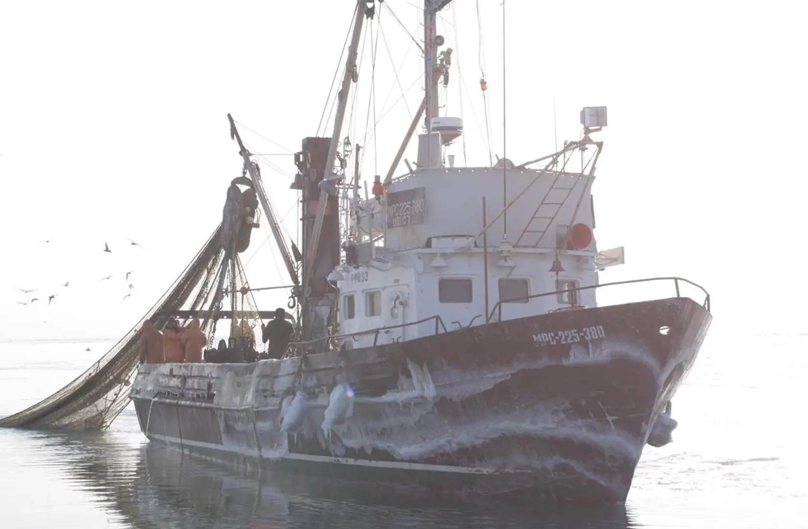 Пасифик фиш ресорсес, купить рыбу оптом