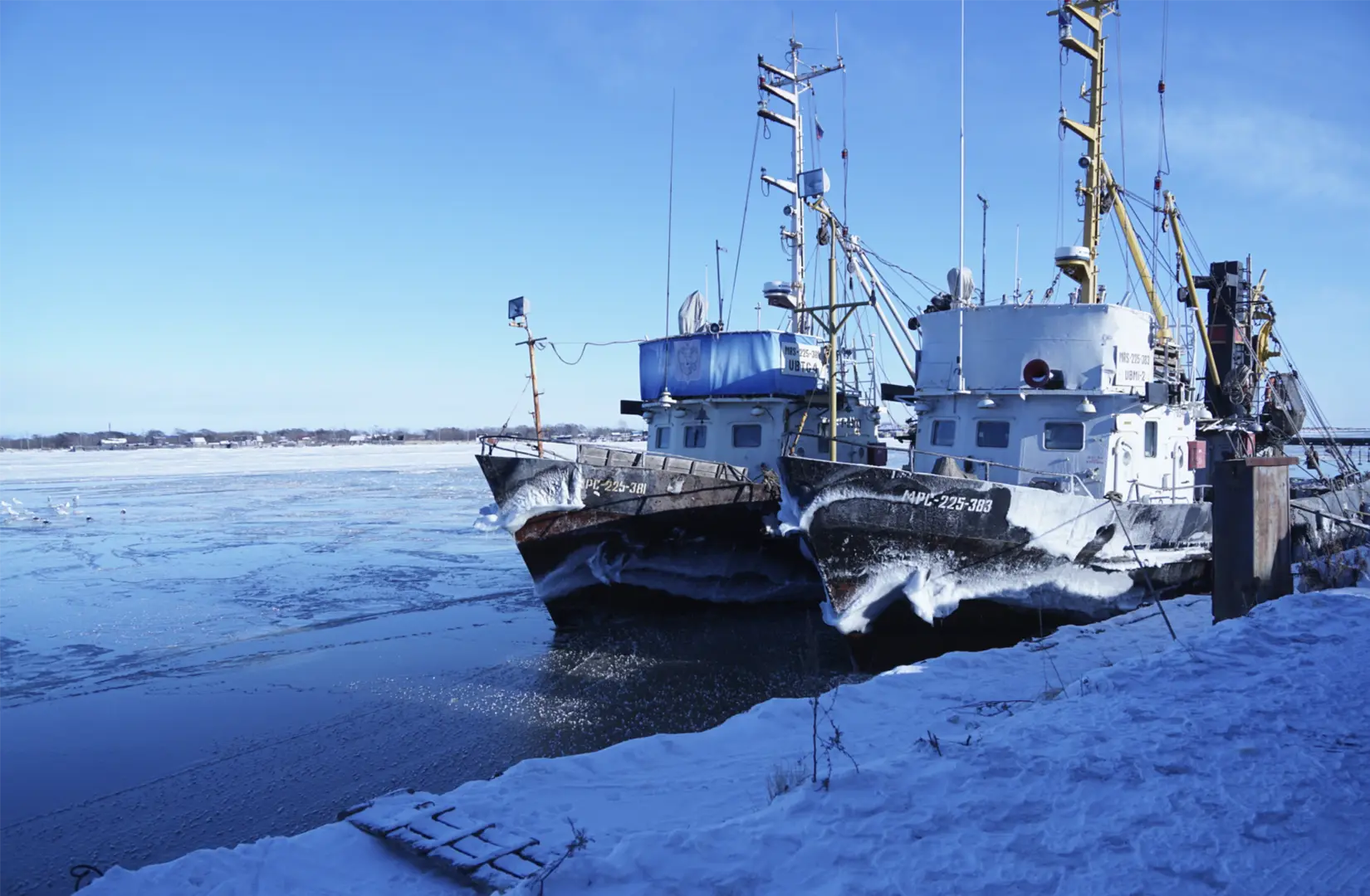 Пасифик фиш ресорсес, купить рыбу оптом