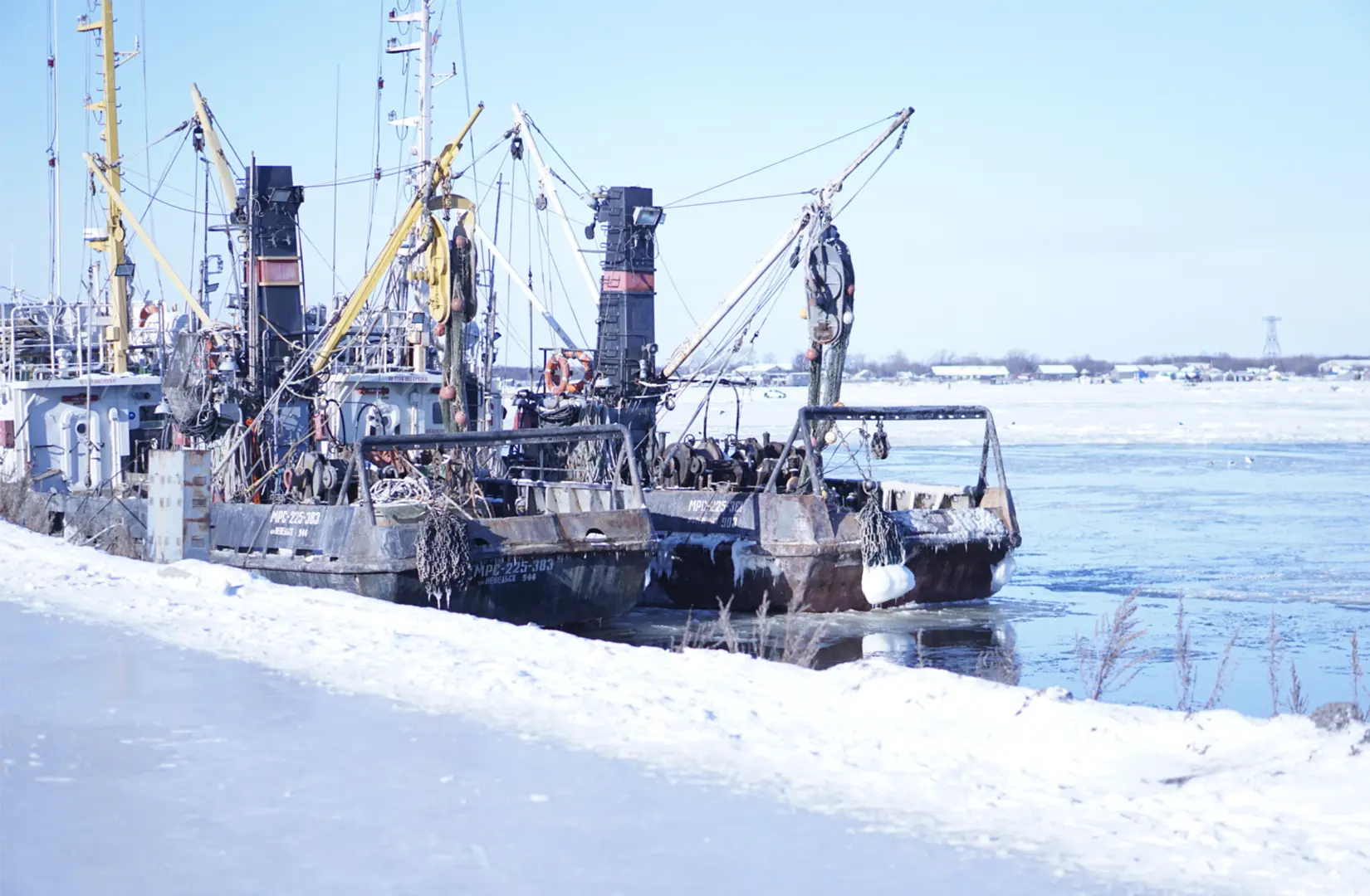 Пасифик фиш ресорсес, купить рыбу оптом