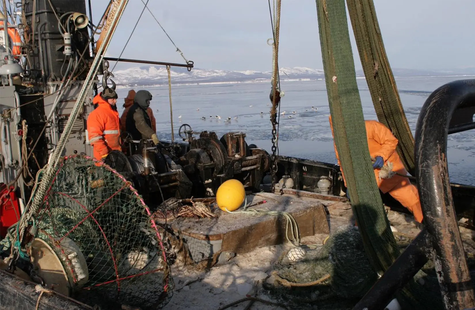 Пасифик фиш ресорсес, купить рыбу оптом