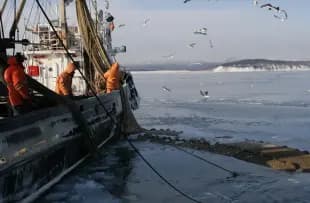 День рыбака